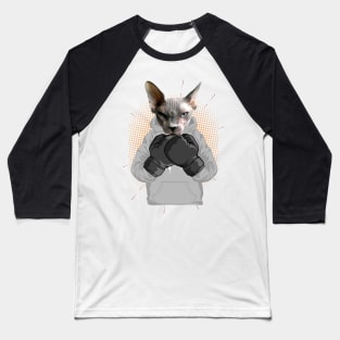 Boxing | Sphynx cat Baseball T-Shirt